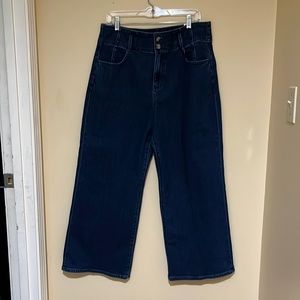 Ann Taylor Jeans NWT size 14 Petite (32 waist)